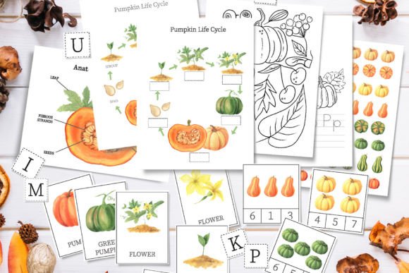 Download Pumpkin Unit Study, Fall Worksheet - K Collection