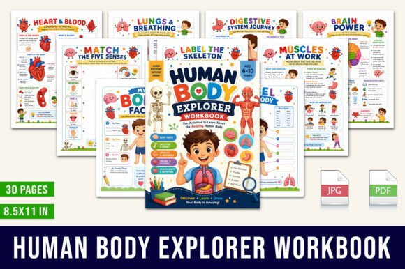 Download Human Body Explorer Workbook - K Collection