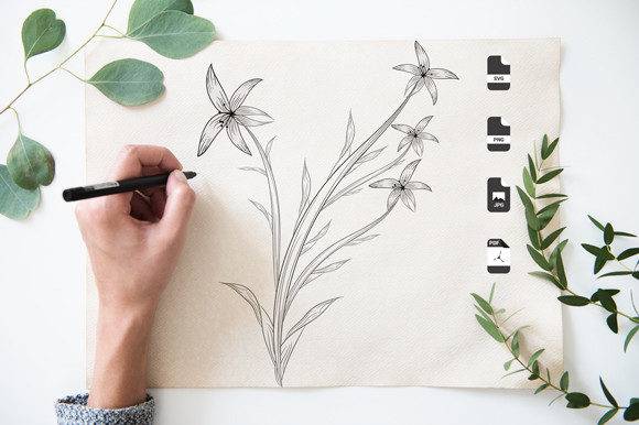 Download Botanical Black and White Coloring Pages - K Collection