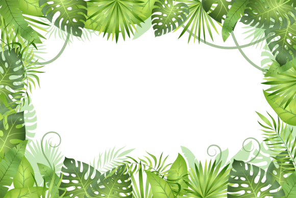 Download Jungle Background. Tropical Leaves Frame - K Collection