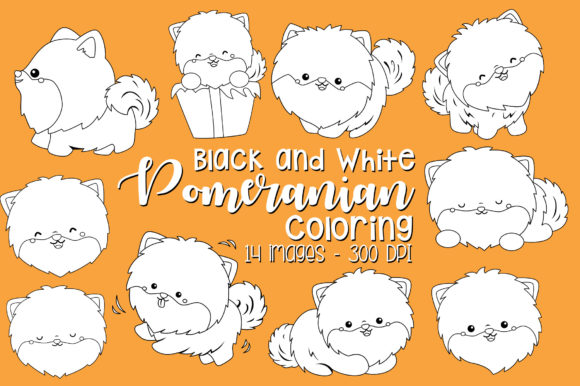 Download Black and White Coloring Pomeranian - K Collection